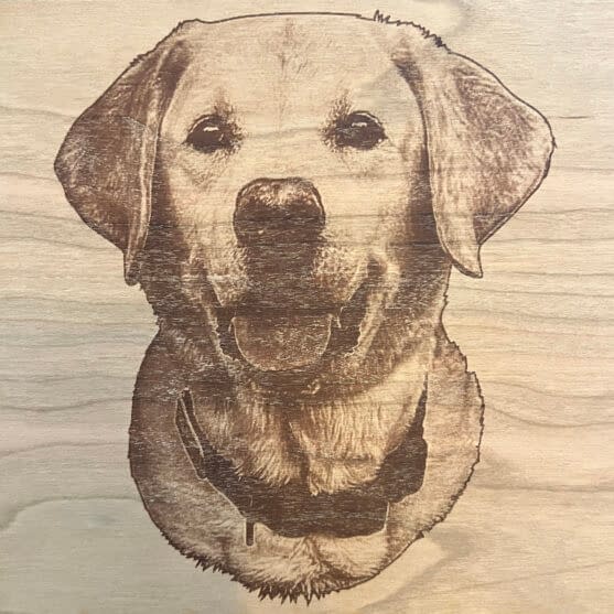 Happy Yellow Labrador portrait Laser engraved on Cherry Wood
