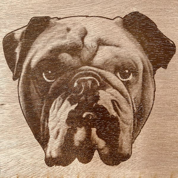 Bulldog portrait laser engraved on a Mohogany wood panel