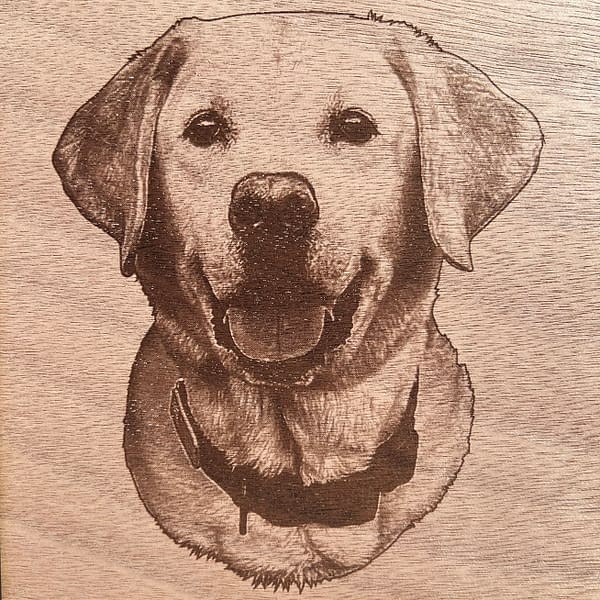 Happy Yellow Labrador portrait laser engraved on Mohogany wood