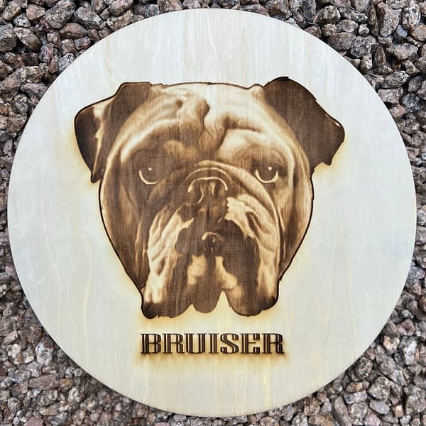 Bulldog portrait with Bruiser Name Laser engraved on Poplar Wood Circle lying on rocks