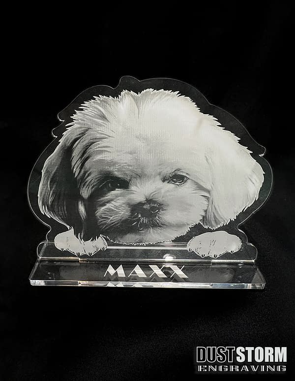 Personalized Pet Portrait in Minimalist Clear Acrylic